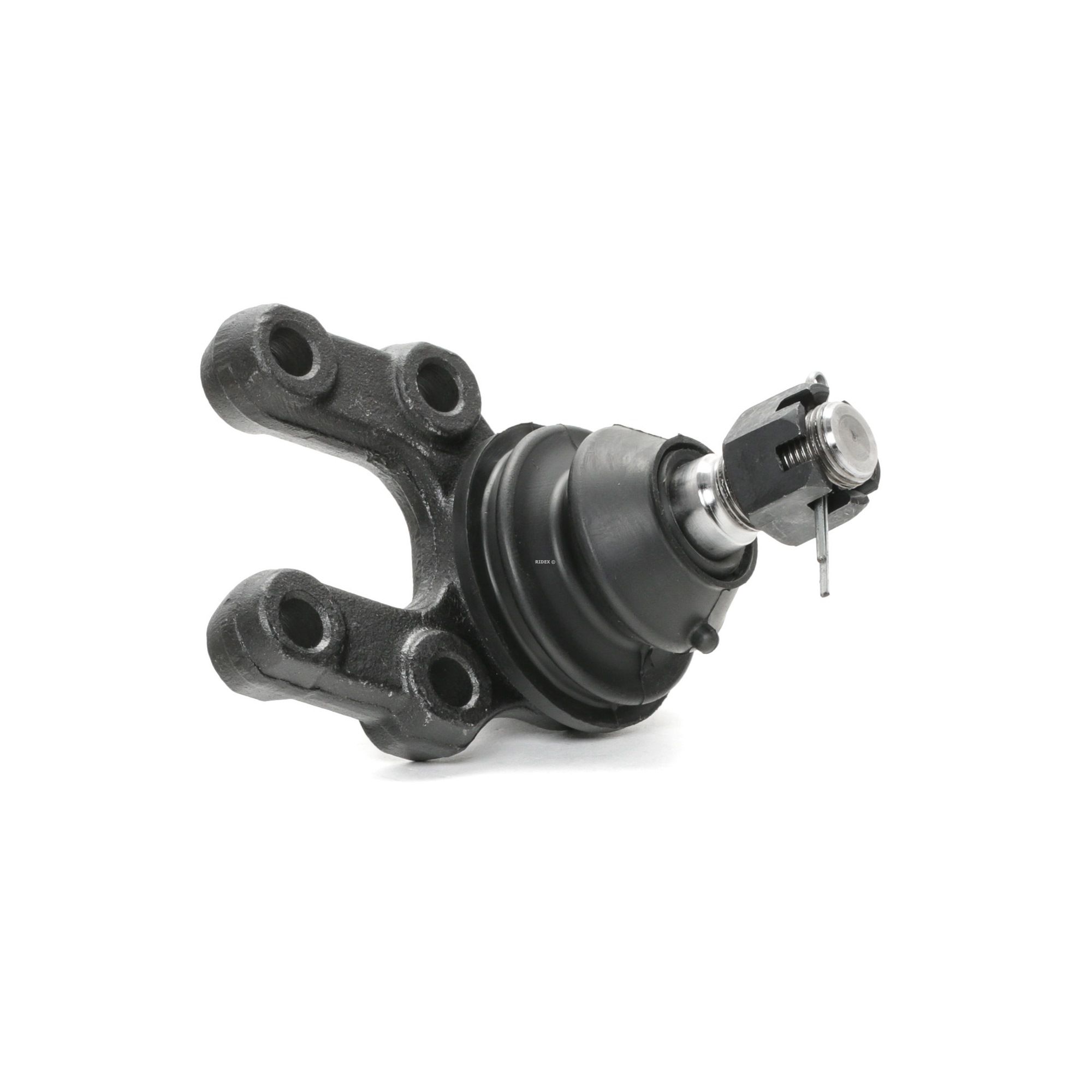 RIDEX Alapallonivel FORD,NISSAN 2462S0013 1954431,401600F000,4016050W00 Pallonivel 4016050W01,4016050W10,4016050W25,4016093G00,4016093G25,4016093G26