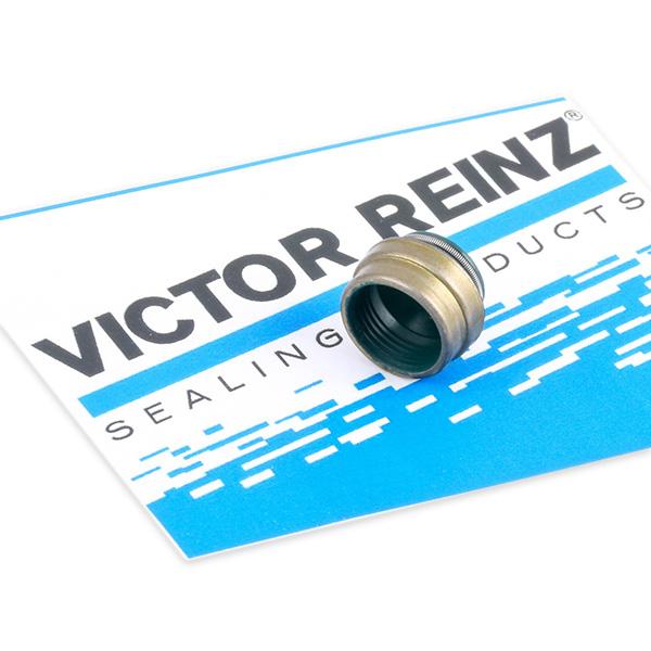 REINZ Tiiviste, Venttiilivarsi VW,AUDI,BMW 70-25837-00 605041100,026109675,11341273501 095622,7700737124,026109675,7553637,1669785,2222429000,5930415