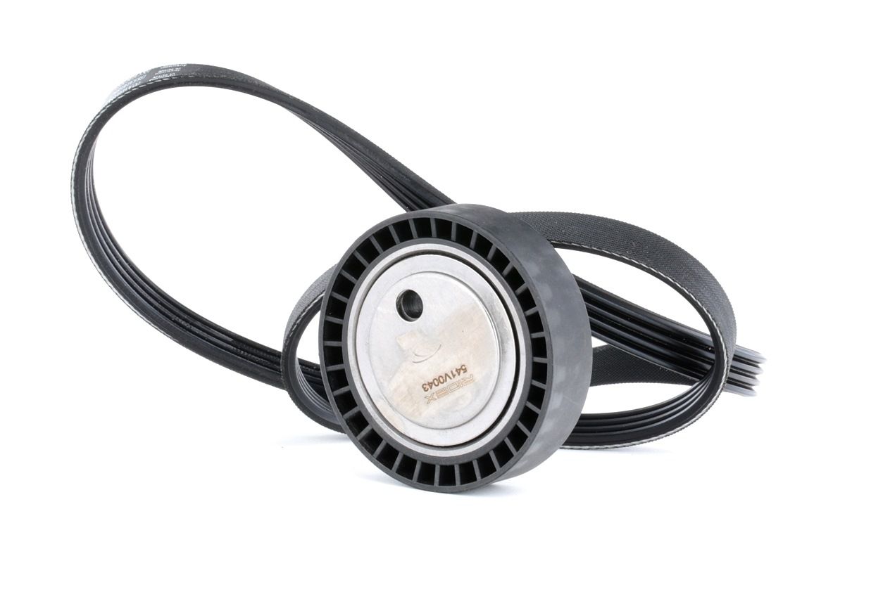 RIDEX Moniurahihnasarja BMW 542R0427