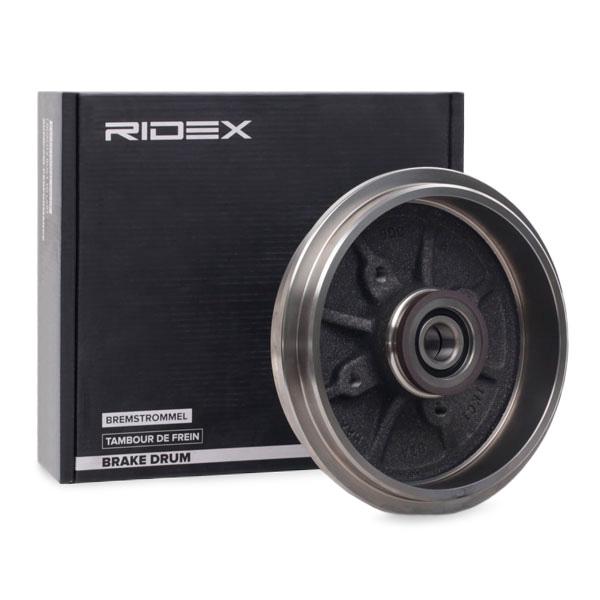 RIDEX Jarrurumpu PEUGEOT,CITROËN 123B0049 424746,424749