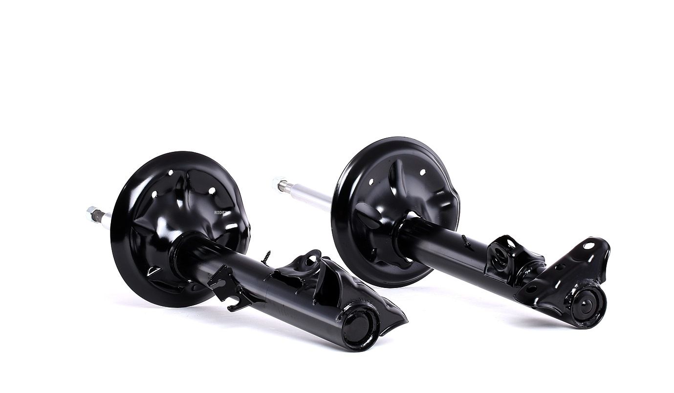 RIDEX Iskunvaimentimet BMW 854S1598 1090205,1090206,1090213 Iskarit,Iskunvaimennin 1090214,1090455,1090456,1090461,1090462,1090463,1090464,1091063