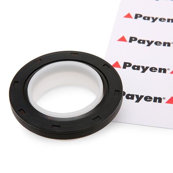 PAYEN Kampiakselin Tiiviste OPEL,FORD,RENAULT NA5191 9645863080,961494980,1350608 Akselitiiviste, Kampiakseli 3M5Q6700BC,012747,9645863080,30757227