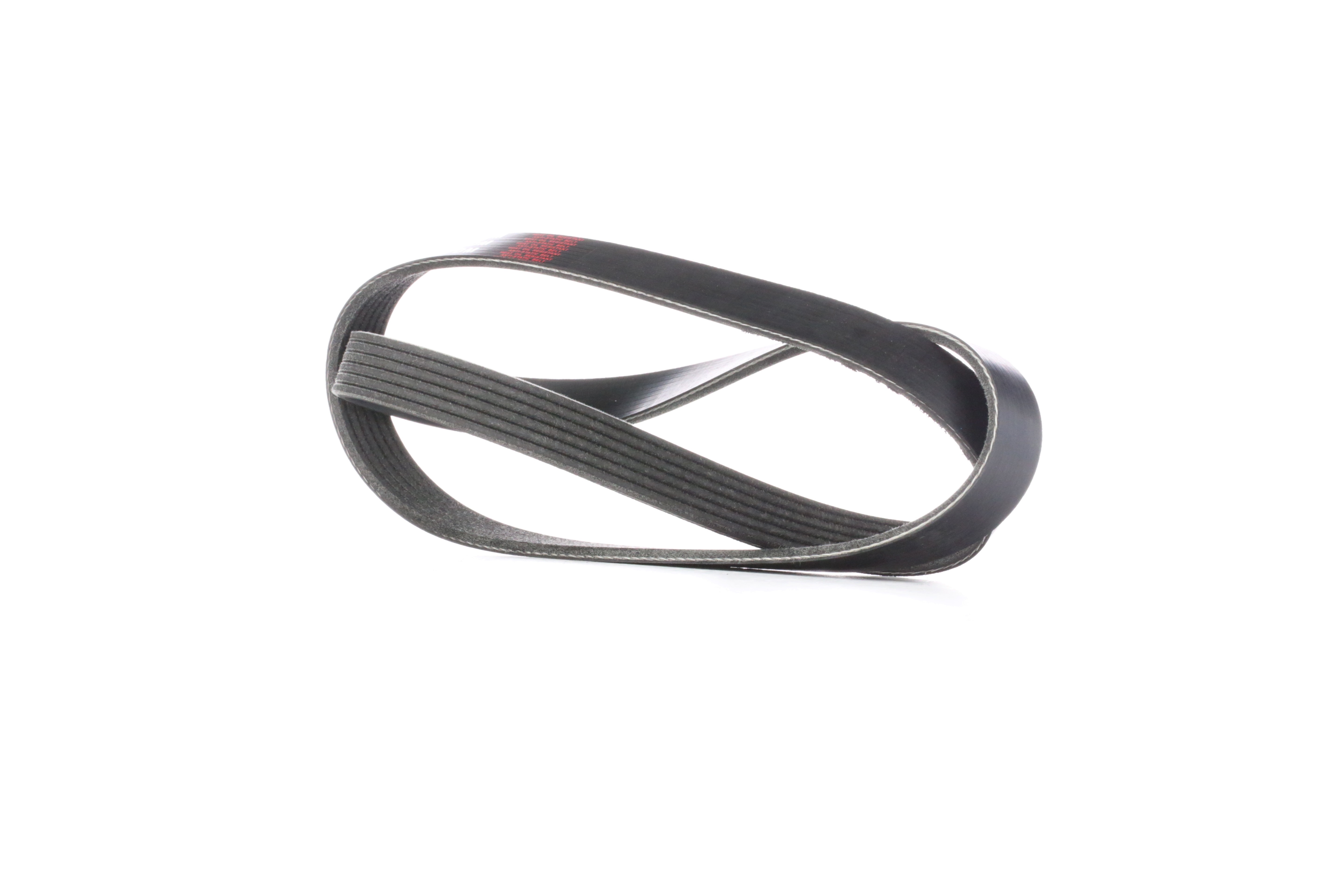 RIDEX Moniurahihna AUDI,BMW,RENAULT 305P0242 028260849H,11288580362,11288638716 11289888807,5750TN,96144511,117207930R,311105G0A01,31110P8BJ01,5750C1