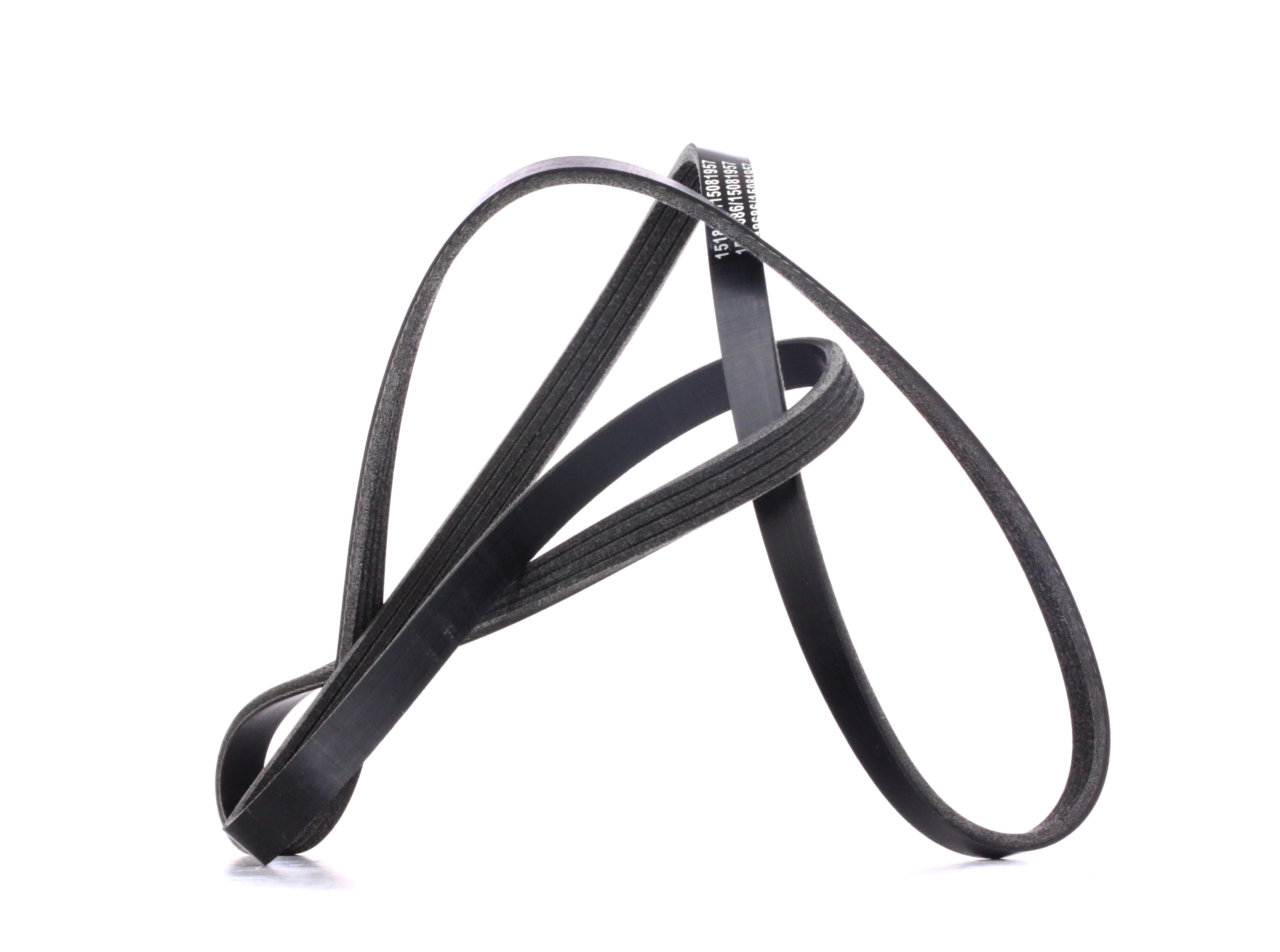 RIDEX Moniurahihna RENAULT,PEUGEOT,NISSAN 305P0400 1172000Q2C,1172000QAU,402510 8200041852,8200830192