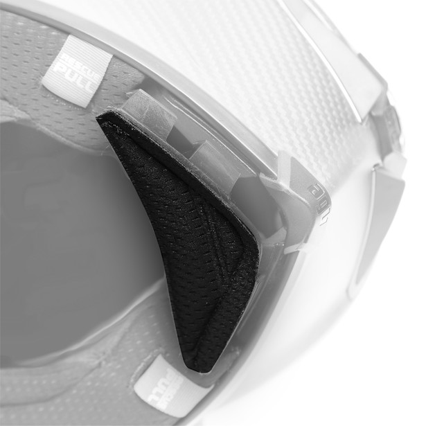 AGV Pista GP RR Black Wind
