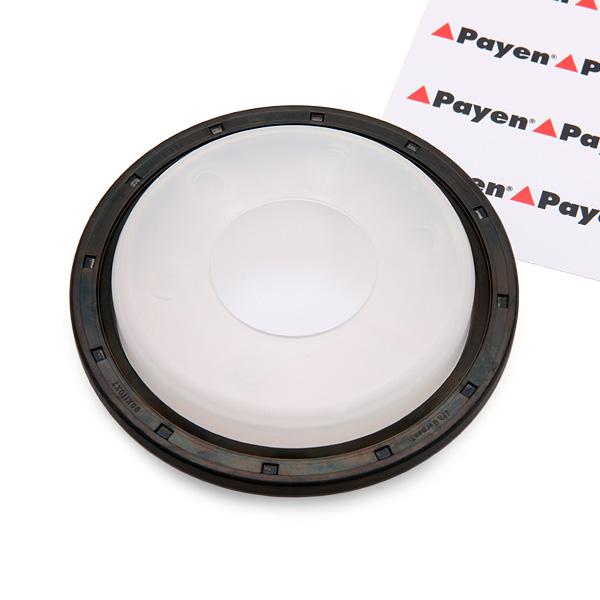 PAYEN Kampiakselin Tiiviste OPEL,FORD,FIAT NA5192 9645863280,9400127459,1350607 Akselitiiviste, Kampiakseli 3M5Q6700BC,012745,9645863280,30757227