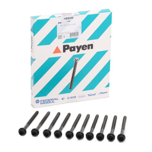 PAYEN Kannen Pultit VW,AUDI,SKODA HBS249 036103384B Sylinterikannen Pultit,Syl.Kannen Pulttisarja