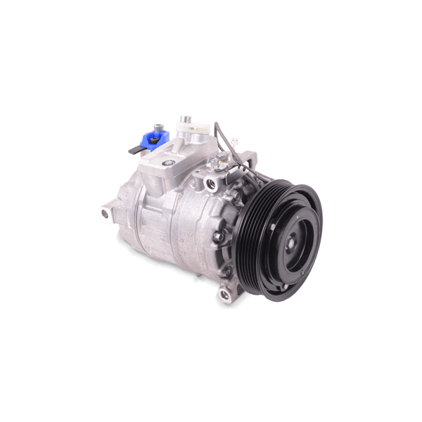 NISSENS Ilmastoinnin Kompressori AUDI,SEAT 89052 4E0260805J,4F0260805AA,4F0260805AC AC Kompressori,Kompressori, Ilmastointilaite 4F0260805AE,8KD260805