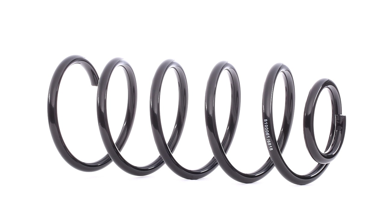 RIDEX Jousi VW,AUDI 188C0060 1J0411105,1J0411105AE,1J0411105BH Kierrejousi 1J0411105R,1J0411105S,357411105S,357411105T,1J0411105R,1J0411105S