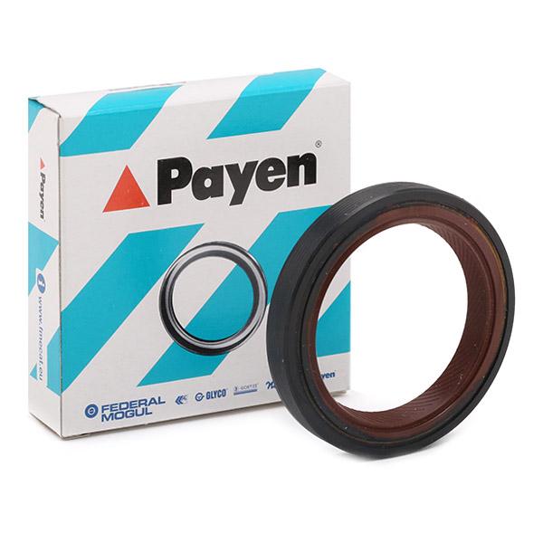 PAYEN Kampiakselin Tiiviste RENAULT,PEUGEOT,CITROËN NF843 7700719683,7700719274,7700866877 Akselitiiviste, Kampiakseli 84142413