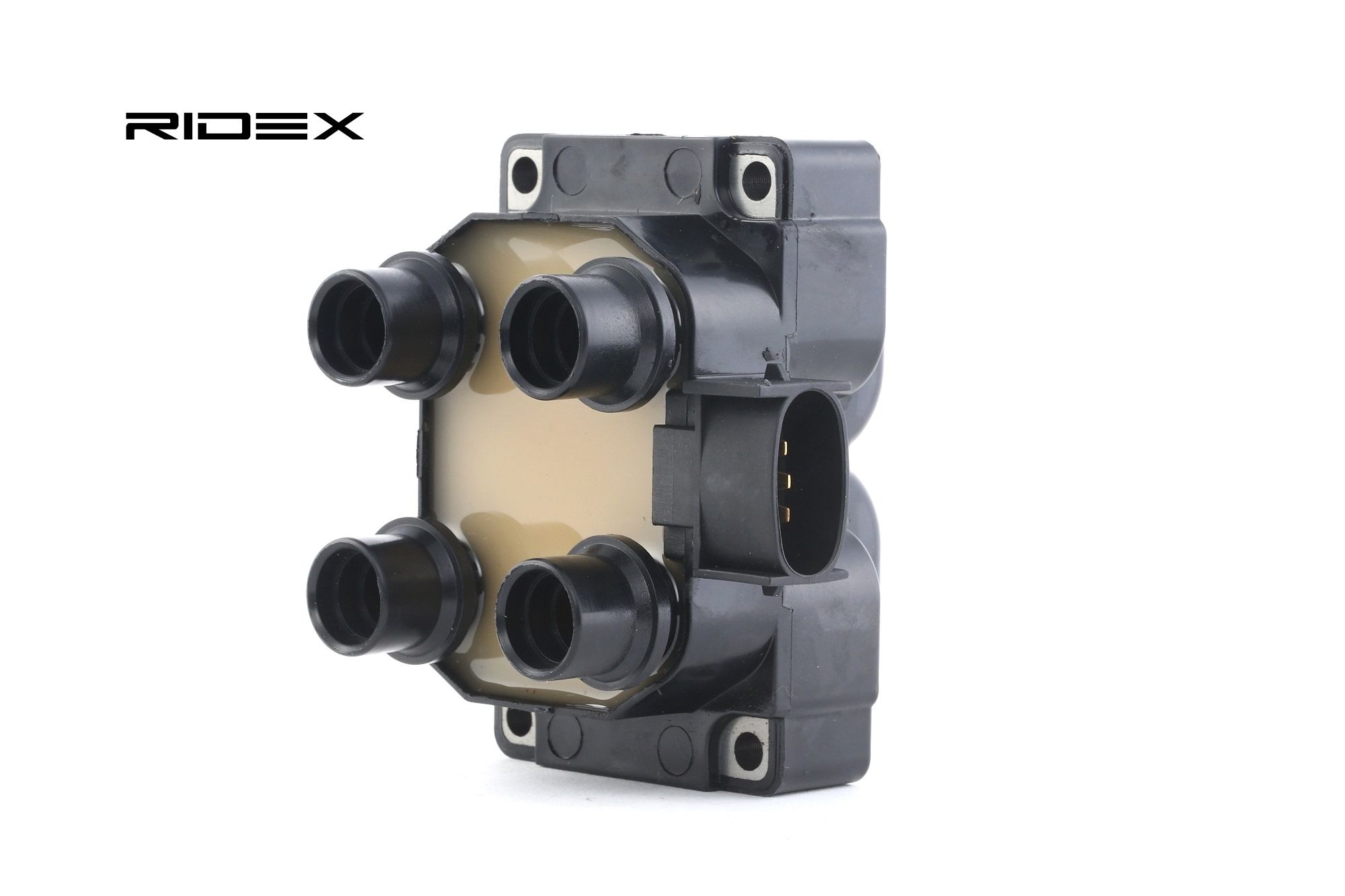 RIDEX Sytytyspuola FORD,MAZDA,FORD USA 689C0041 1008886,1018139,12029CA 1649067,5008193,6181956,6503277,6503278,6503279,6503280,6860288,6860289