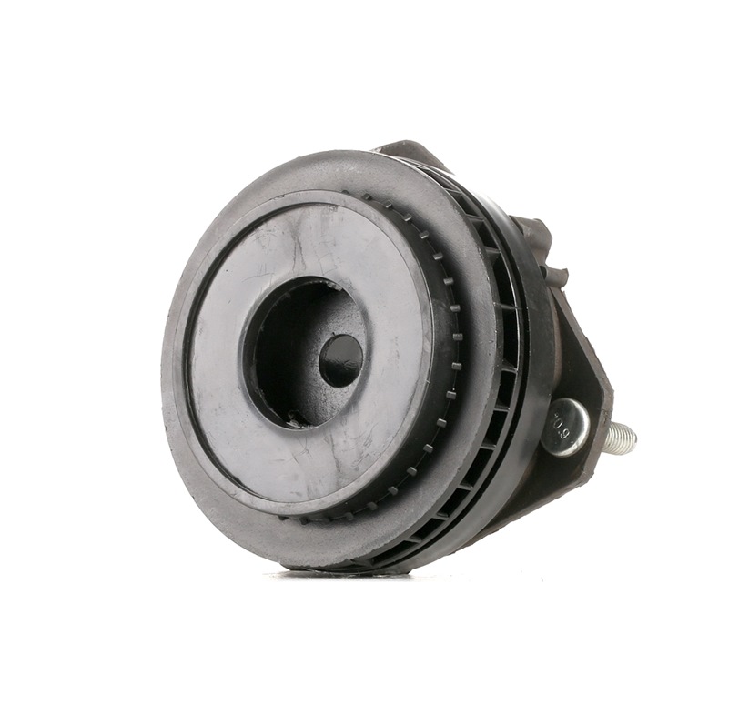 RIDEX Jousijalan Tukilaakeri FORD,MAZDA 1180S0257 1146152,1146153,1151926 Iskarin Yläpää,Iskunvaimentimen Yläpää 1198235,1203103,1253168,2S613K099AC