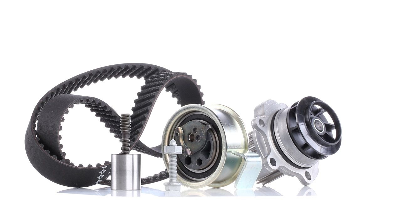 INA Vesipumppu + Jakohihnasarja VW,AUDI,FORD 530 0091 31 038109119L,038109119N,038109119P 038121011C,038121011CX,038121011D,038121011G,038121011H