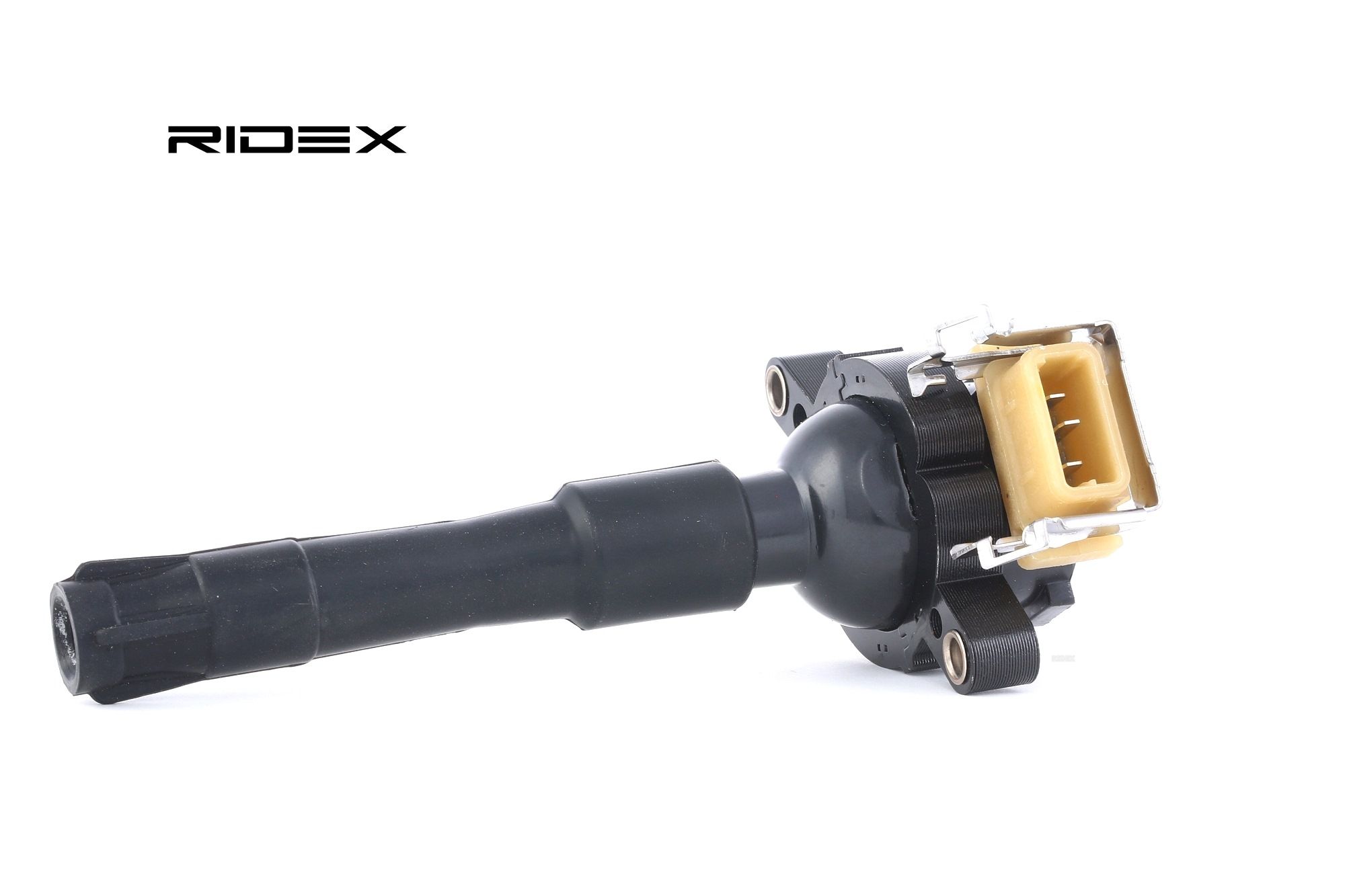 RIDEX Sytytyspuola BMW,LAND ROVER,ROVER 689C0010 12131404309,12131703227,12131703228 12131703825,12131748017,12131748018,12137599219,12139067830