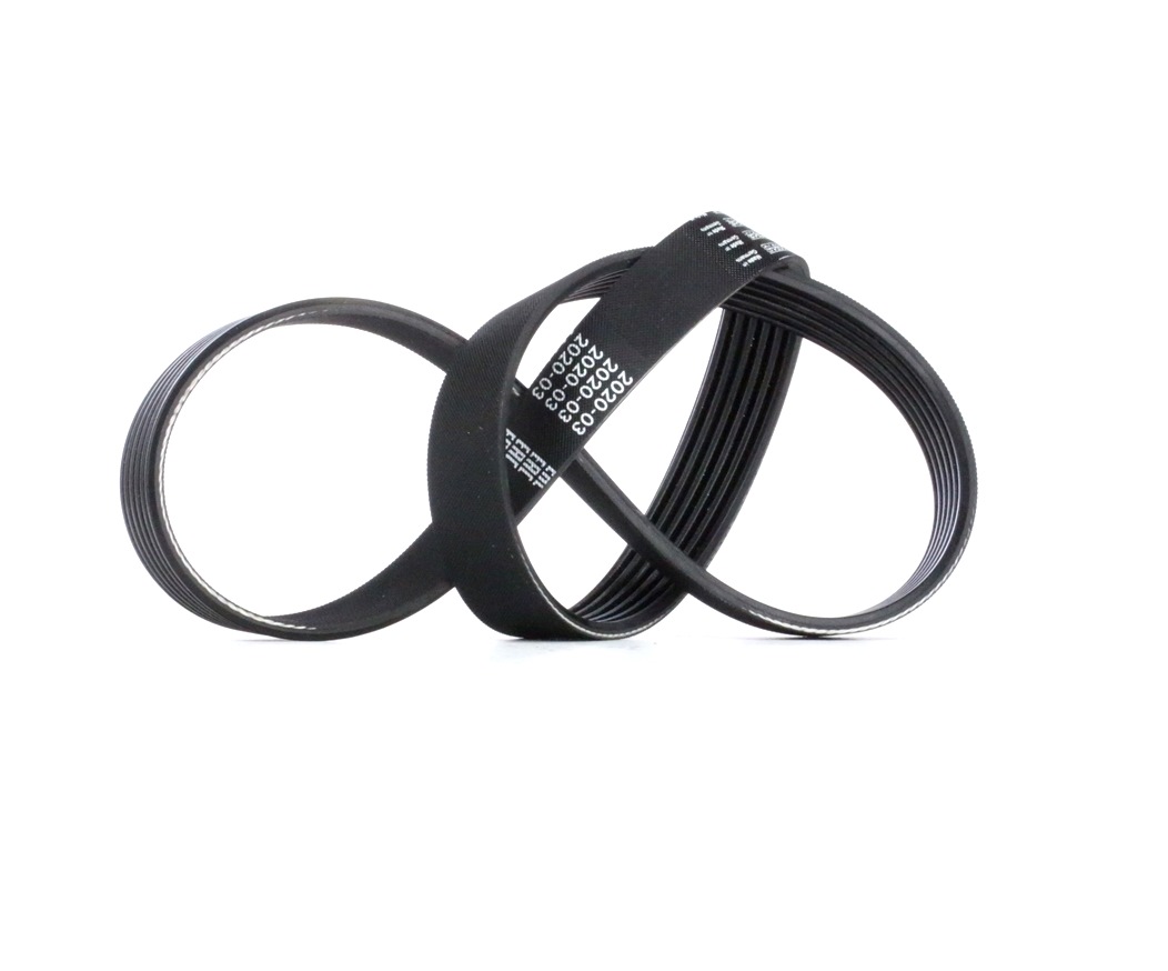 BOSCH Moniurahihna FORD,FIAT,PEUGEOT 1 987 947 937 5750D9,5750E6,5750J1 46412707,500345344,71739928,99461393,1011697,1654387,6738365,6738366,7003984