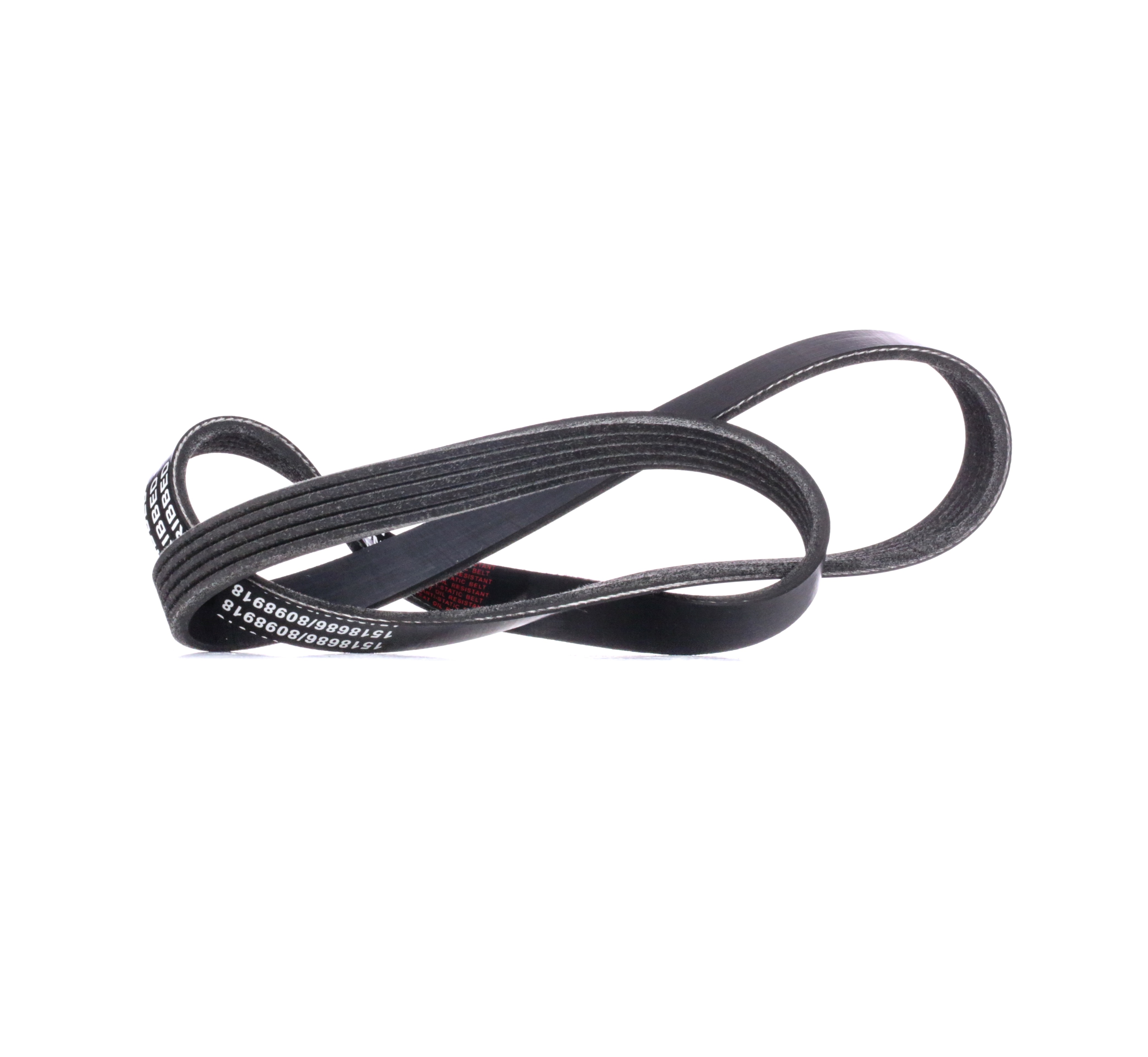 RIDEX Moniurahihna BMW,FIAT,TOYOTA 305P0164 60596949,11281435280,11281742029 96144934,7658133,PQS000220,99919220650