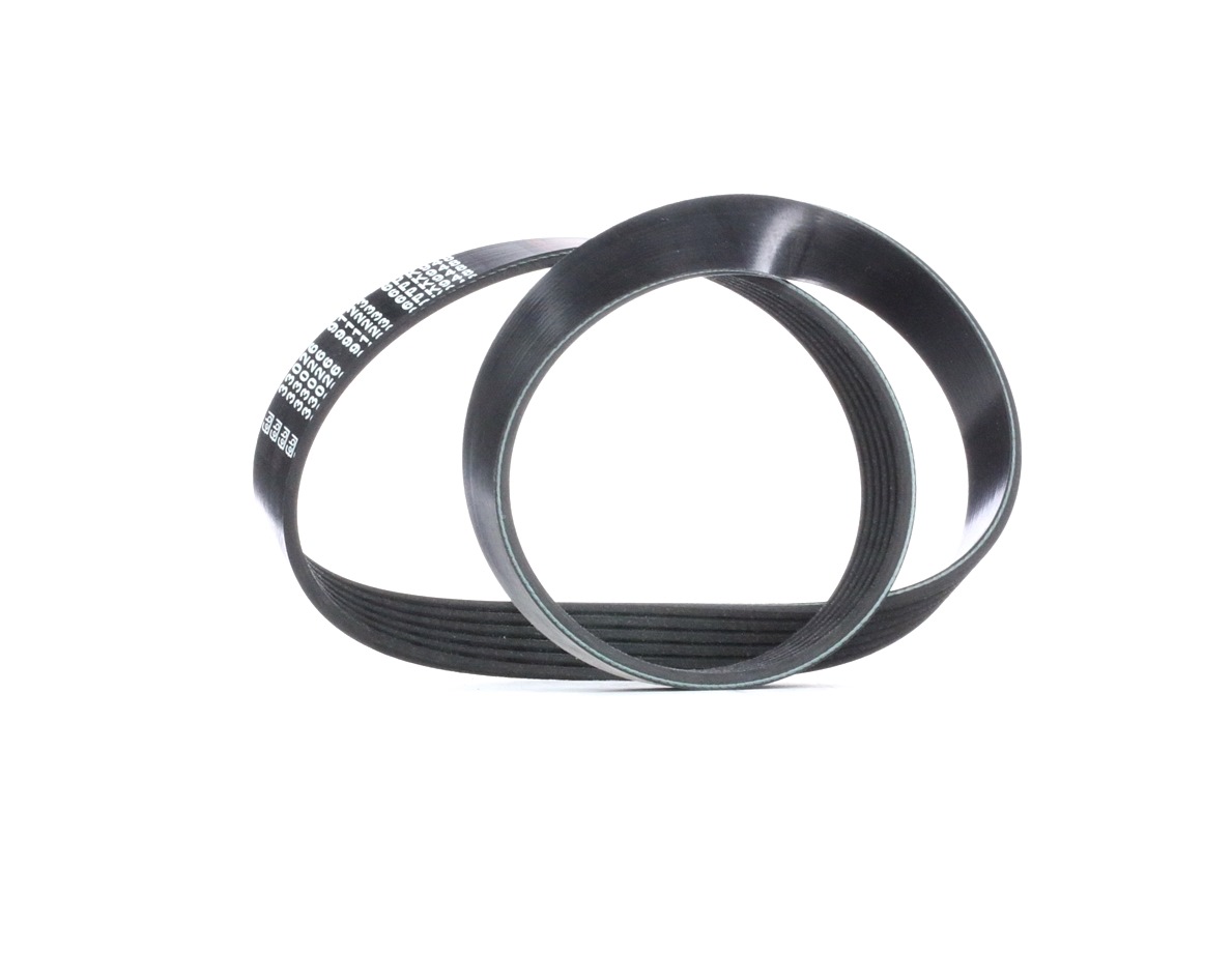 FEBI BILSTEIN Moniurahihna VW,AUDI,FIAT 33026 03G903137A,3G903137A,3G903137C 500346828,504171190,71739929,03G903137A,03G903137C,3G903137A,3G903137C