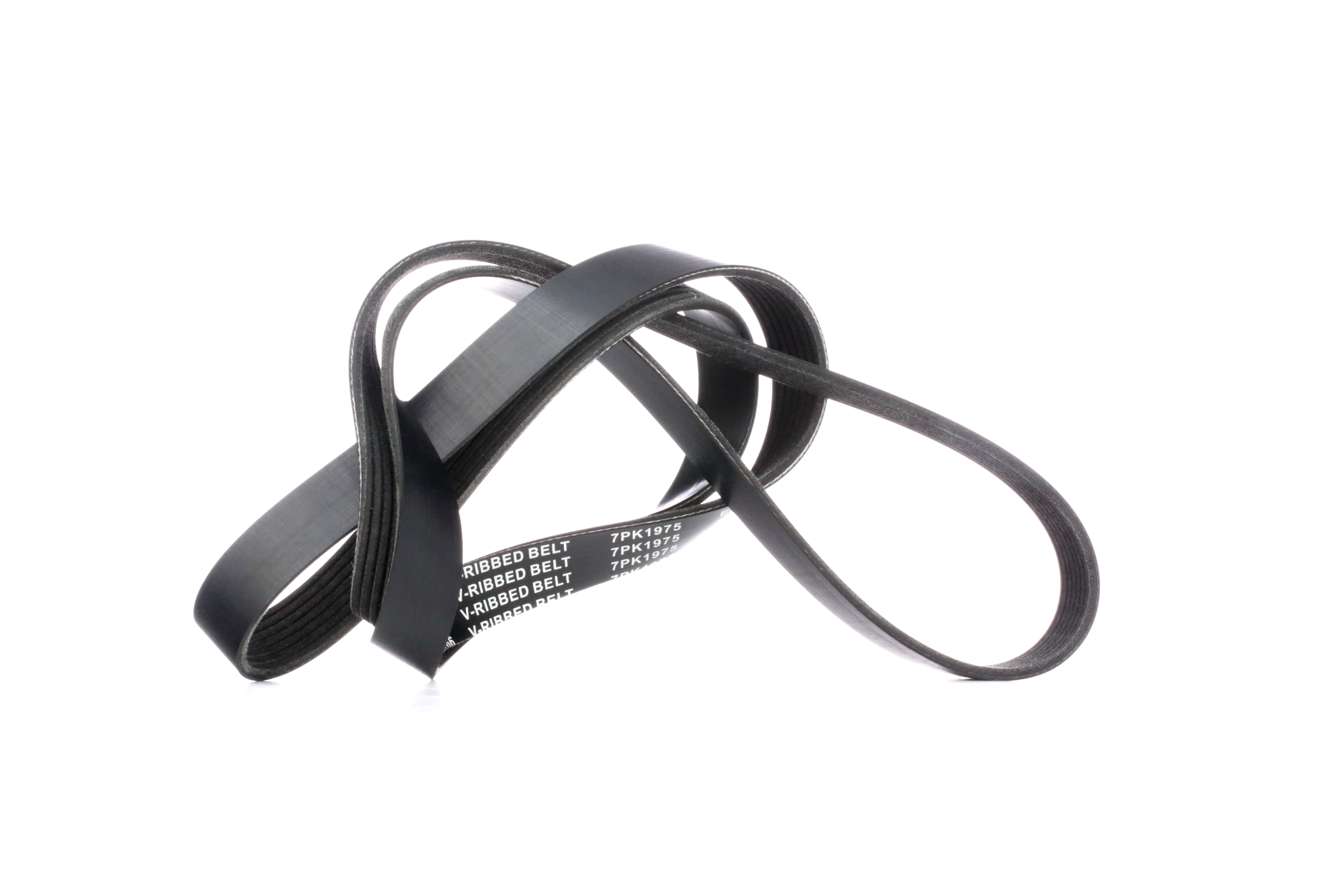 RIDEX Moniurahihna MERCEDES-BENZ,OPEL,RENAULT 305P0327 60561247,60618584,60652358 4763863,4763863AB,4763863AB,60605423,60618584,60810651,60812001