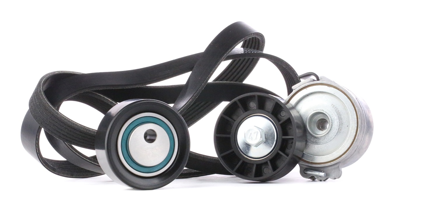 RIDEX Moniurahihnasarja FIAT,PEUGEOT,CITROËN 542R0038 1613837480,9618888580,9653522380
