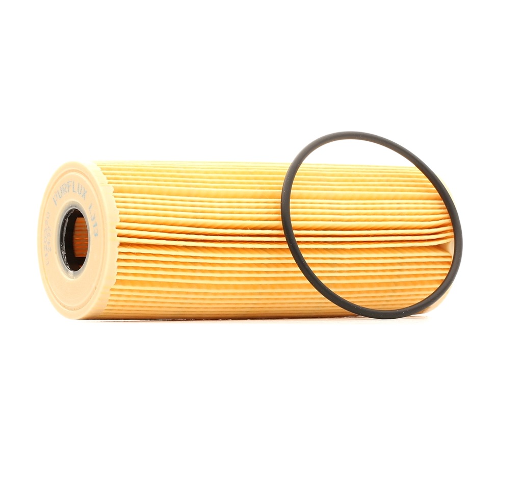 PURFLUX Öljynsuodatin VW,MERCEDES-BENZ,VOLVO L313 AC6213E,1041800109,J1310400 1041800109,1041800225,1041800709,1041840225,1041840325,1041840425
