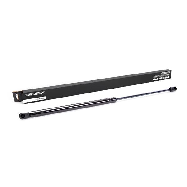 RIDEX Takaluukun Kaasujousi BMW 219G0007 51247127875 Kaasujousi, Tavaratila