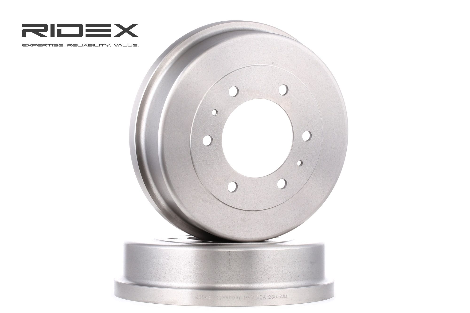 RIDEX Jarrurumpu FORD,NISSAN 123B0095 1954475,432060F001