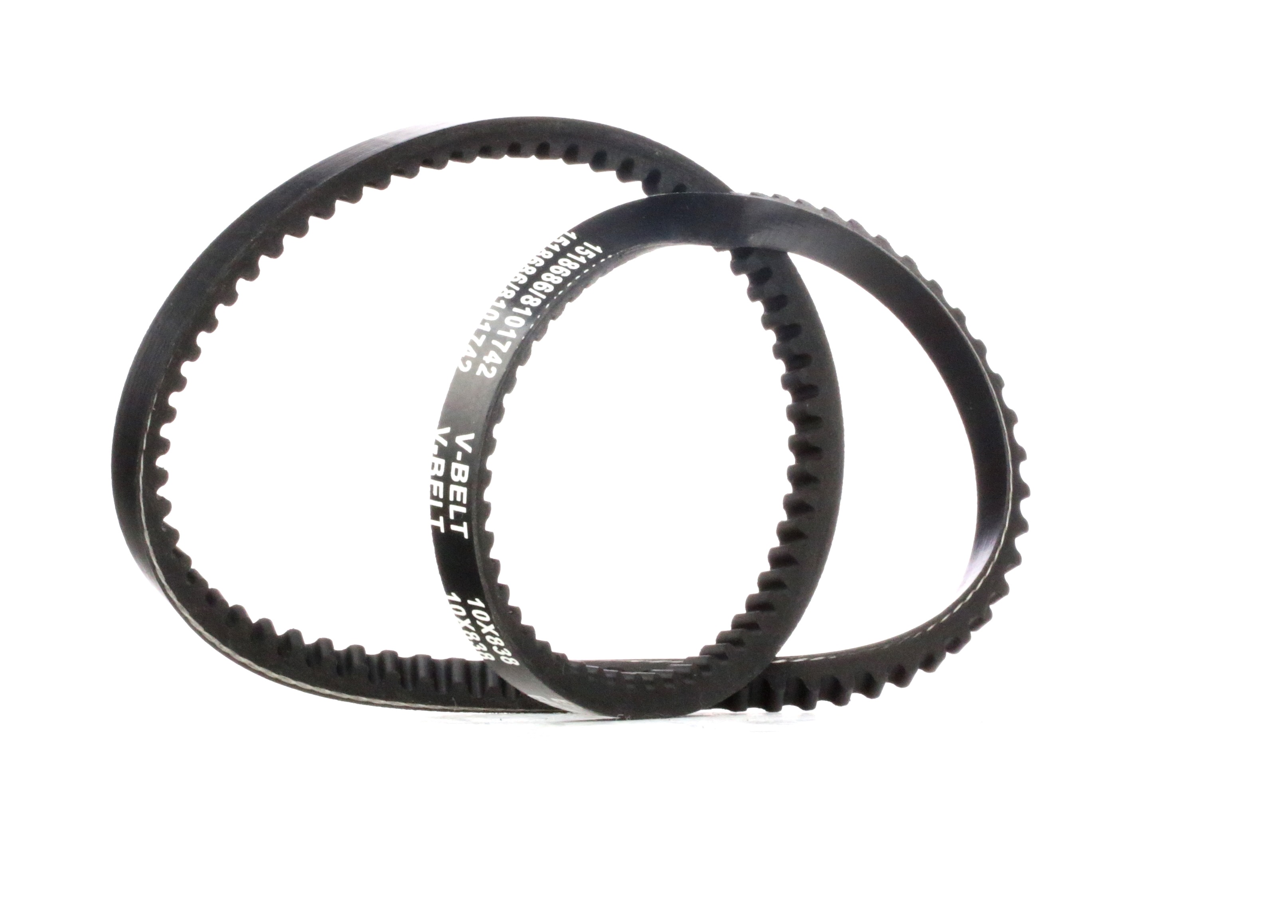 RIDEX Kiilahihnat VW,AUDI,FORD 10C0062 0000060807778,10200210300,105140210300 Laturin Hihna,Kiilahihna 164035011,60518176,60800454,074903137,AEJ101